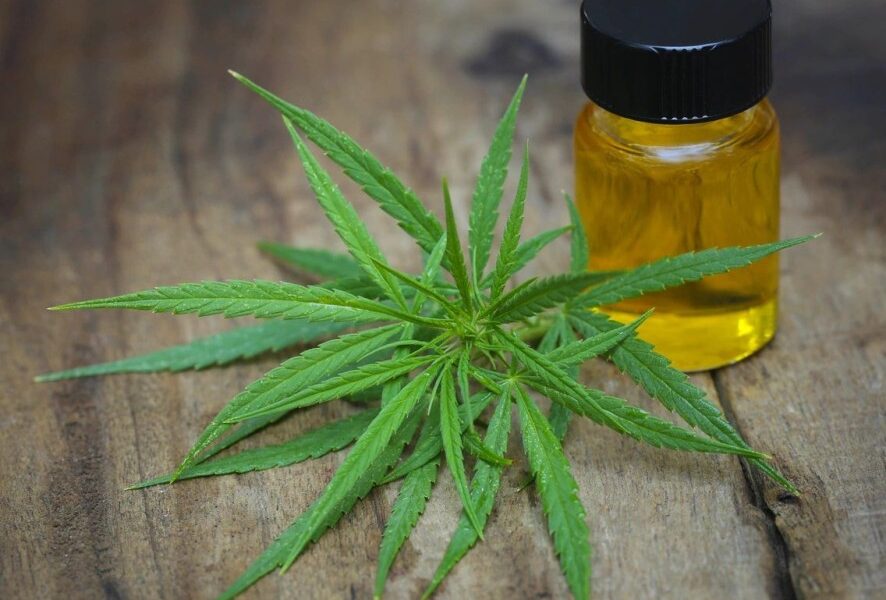 The Hemp Cartel