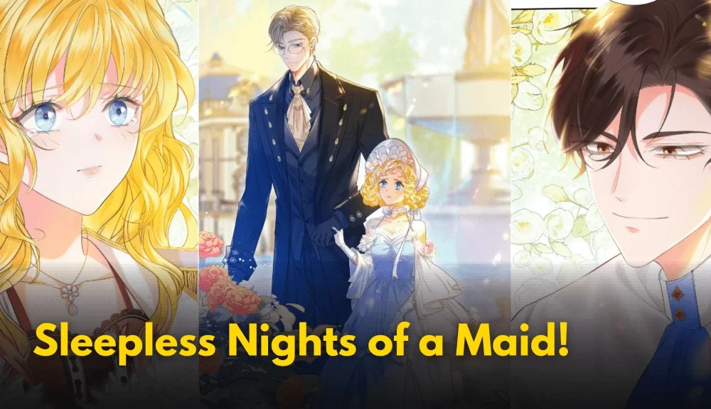 Sleepless Nights of a Maid spoiler