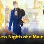Sleepless Nights of a Maid spoiler