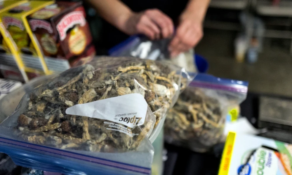 Mr. Mushies