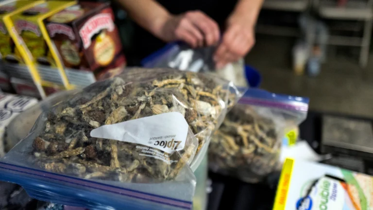 Mr. Mushies