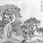 Kodama Aiomizu: A Legend from the Heart of Japanese Culture