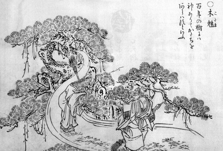Kodama Aiomizu: A Legend from the Heart of Japanese Culture