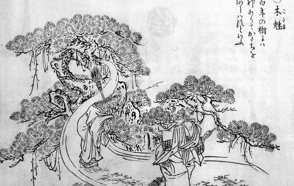 Kodama Aiomizu: A Legend from the Heart of Japanese Culture