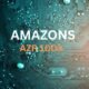 Amazon AZR100X
