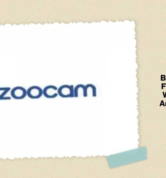 bazoocam