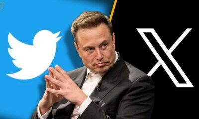 Elon Musk buys Xvideos