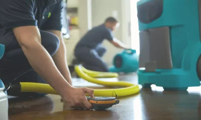 Water Damage Restoration Services in the USA: How to Find the Best? 