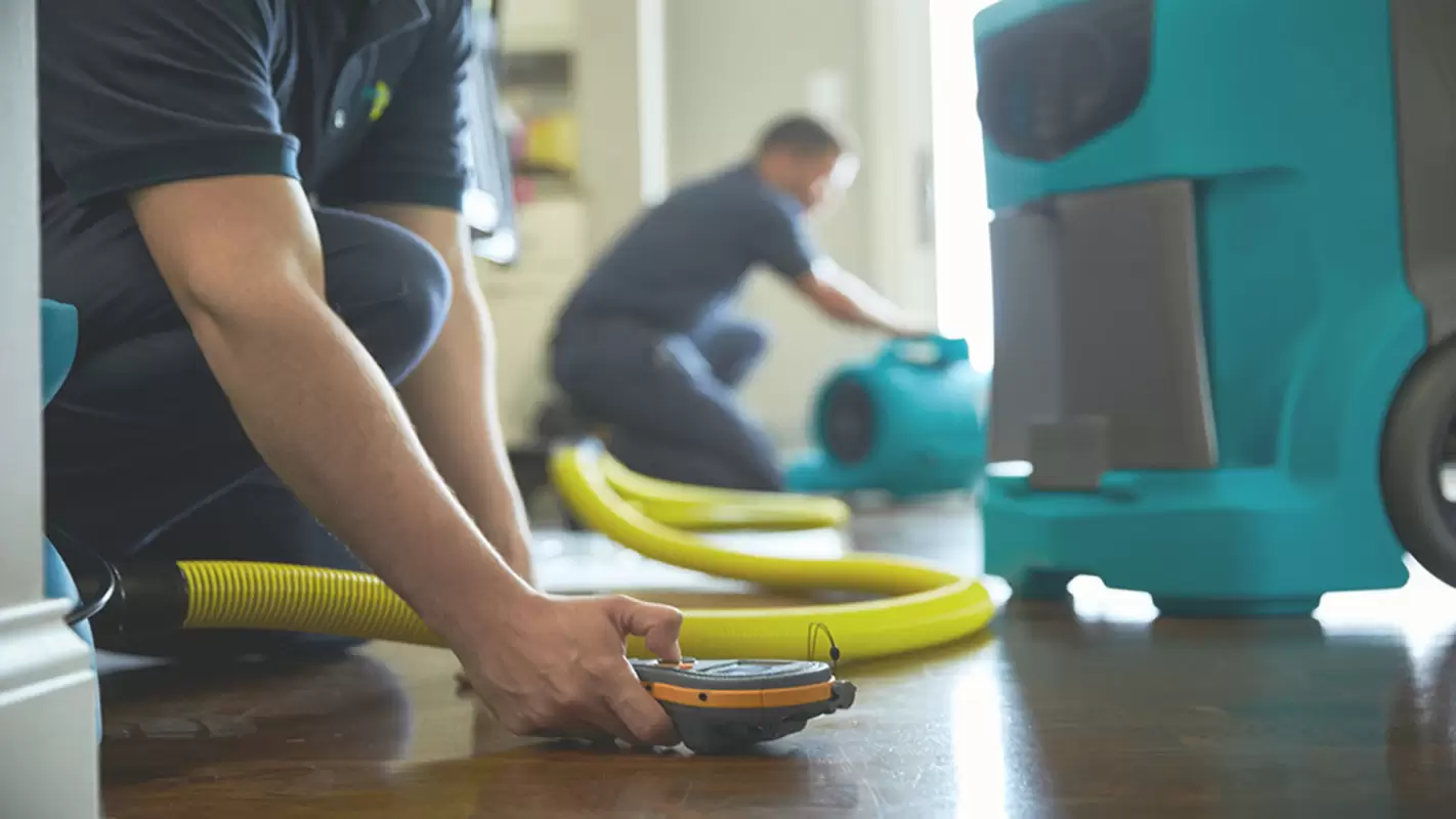 Water Damage Restoration Services in the USA: How to Find the Best? 